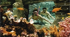 Aqua Mundo Aktivitäten in Center Parcs Park Allgäu
