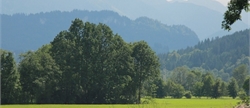 Unterhaltung Aktivitäten in Center Parcs Park Allgäu
