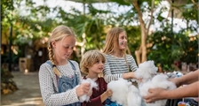 Aktivitäten für Kinder Aktivitäten in Center Parcs Les Ardennes