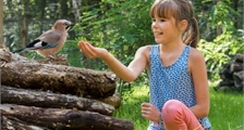 Vögel Entdecken in Center Parcs Le Bois aux Daims
