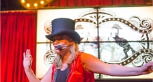 Show Night in Center Parcs Bispinger Heide