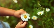 Digitale Spring Celebrations Nature Discovery in Center Parcs Park Bostalsee