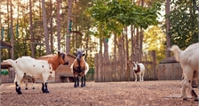 Kinderbauernhof in Center Parcs De Eemhof