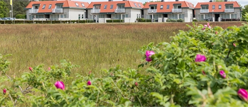 Roompot Bosch en Zee