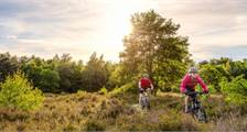 Wandern und Radfahren Aktivitäten in Landal Hunerwold State
