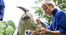 Kinder Aktivitäten in Landal Miggelenberg