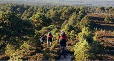 Wandern und Radfahren Aktivitäten in Landal Piperdam