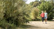 Wandern und Radfahren Einrichtungen in Landal Stroombroek