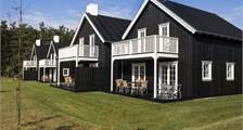 Ferienhaus 8L in Landal Søhøjlandet